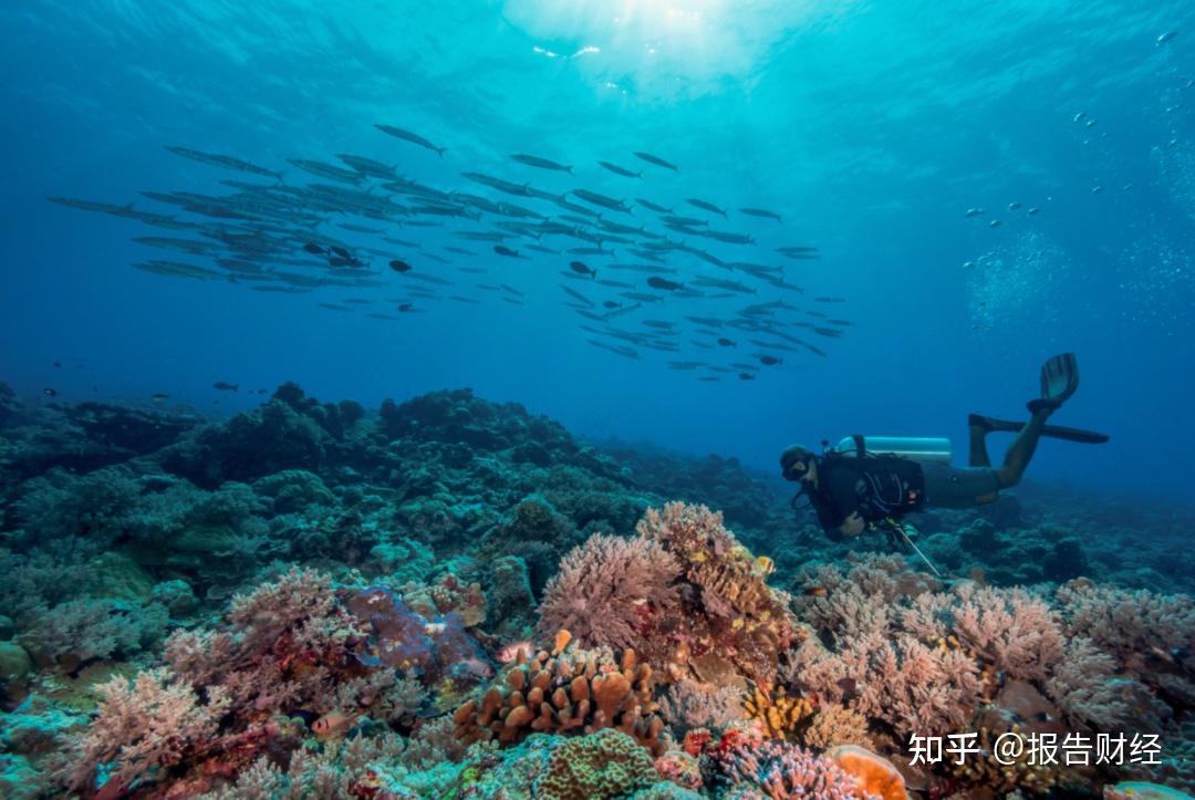 帕劳|数字居民身份证·申请教程:支持那些交易所KYC认证? 帕劳|数字居民身份证·申请教程:支持那些交易所KYC认证?